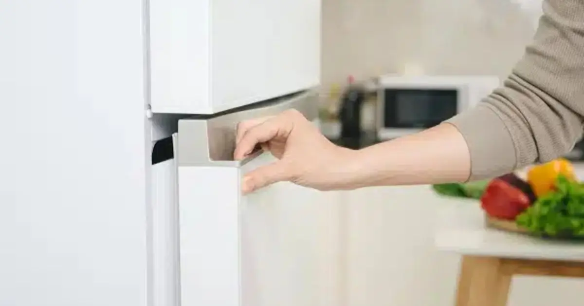 how to clean refrigerator gasket