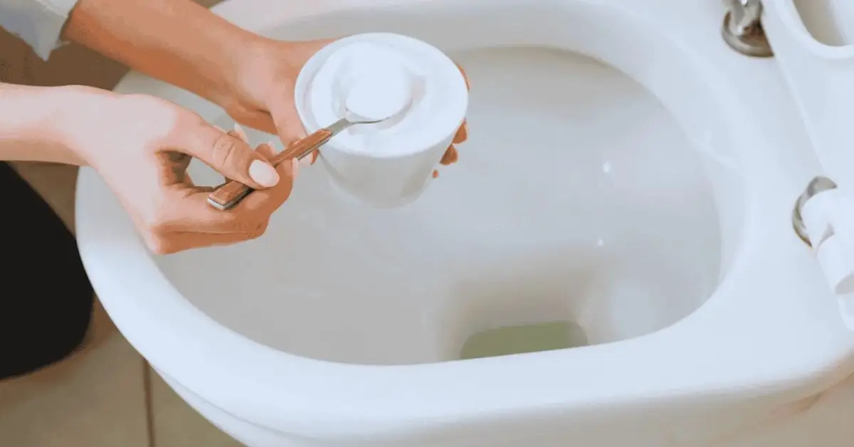 how to clean your toilet bowl with vinegar