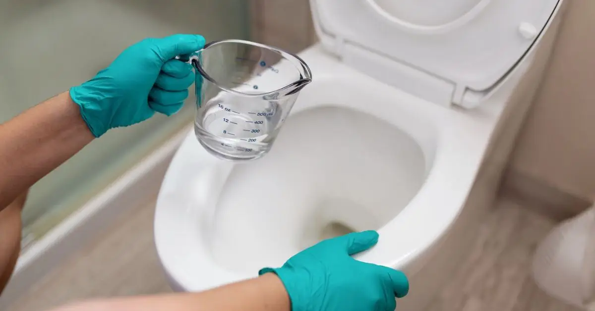 how to clean your toilet bowl with vinegar