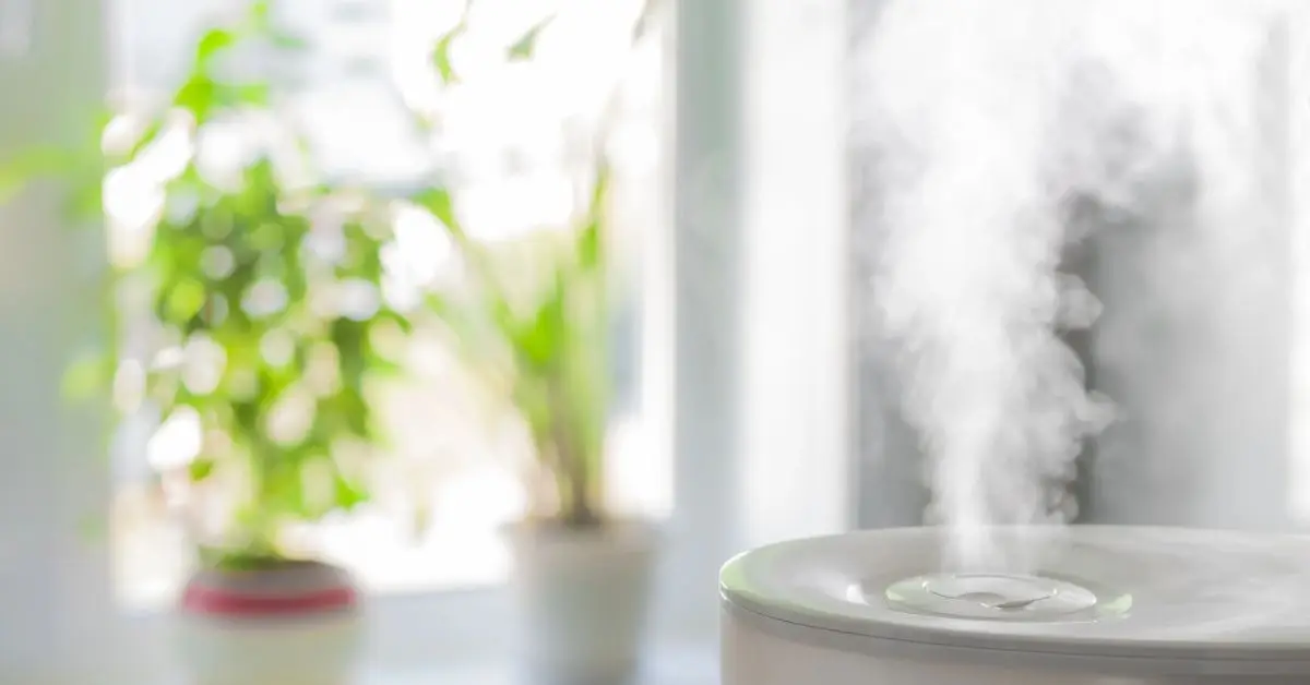 how to keep humidifier mold free in winter