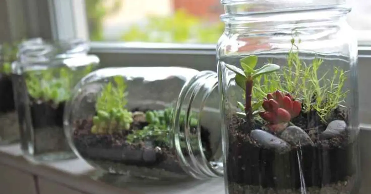 how to reuse candle jars