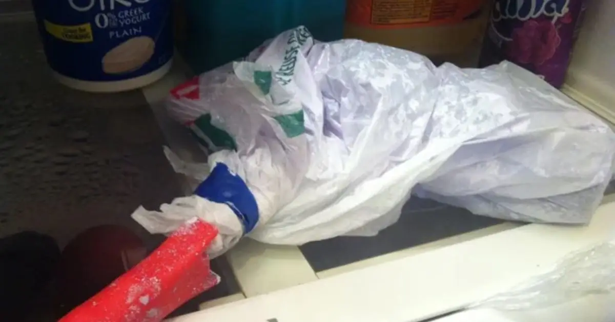 how to store paint brushes