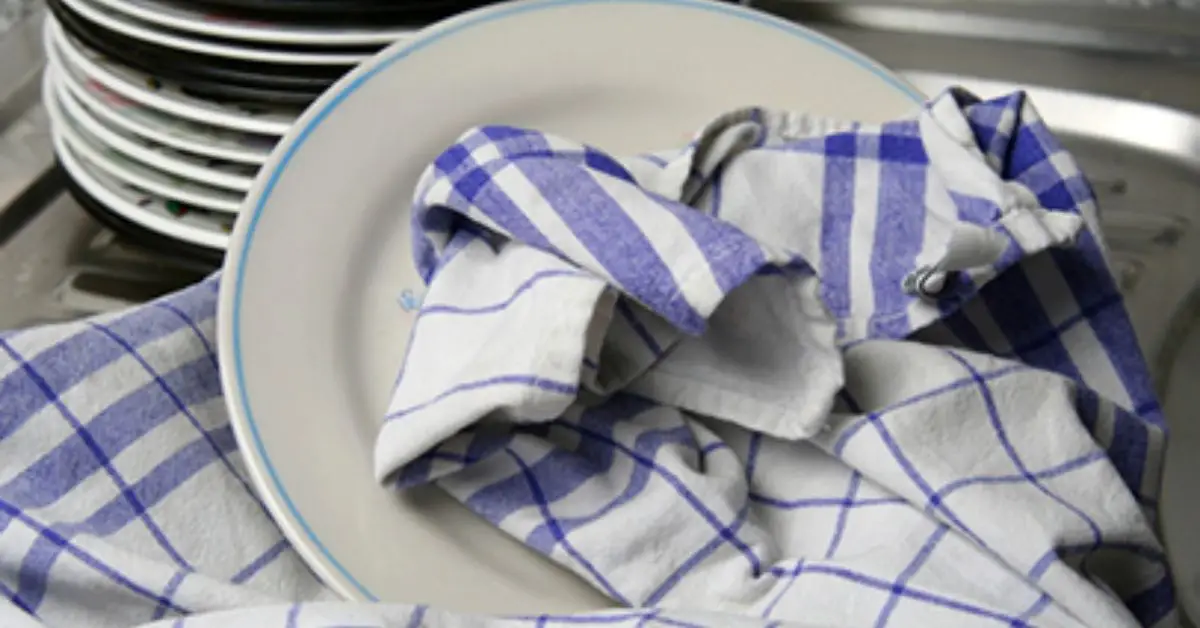 things in kitchen to replace often