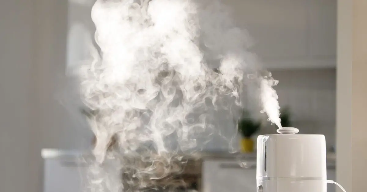 things to never put in humidifier