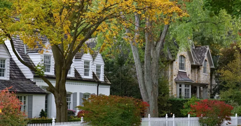 trees you should never plant near your driveway