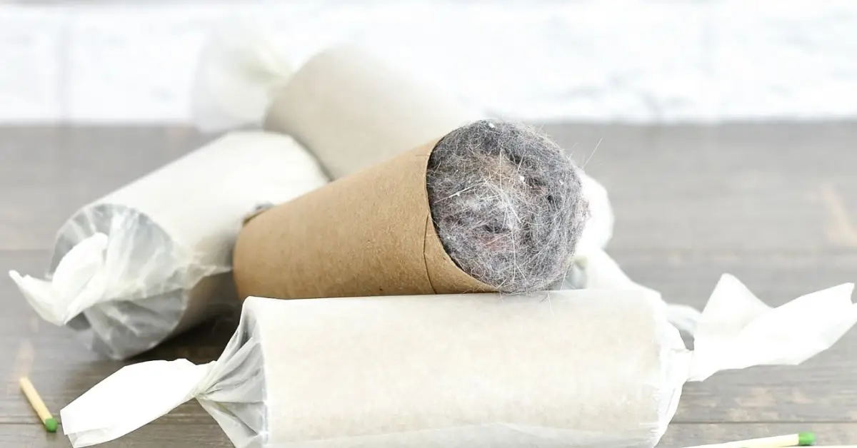 ways to reuse dryer lint