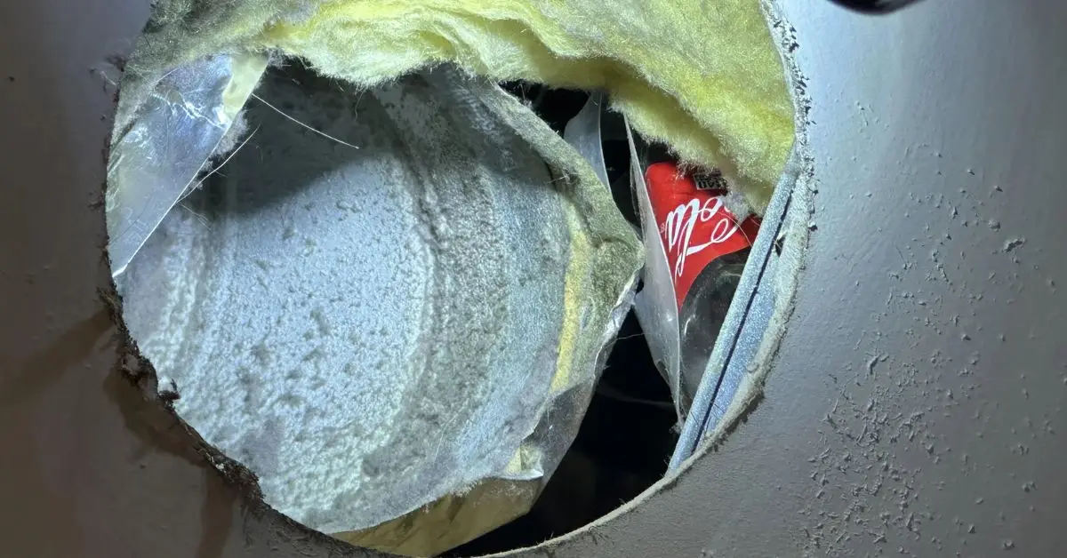 ways to reuse dryer lint
