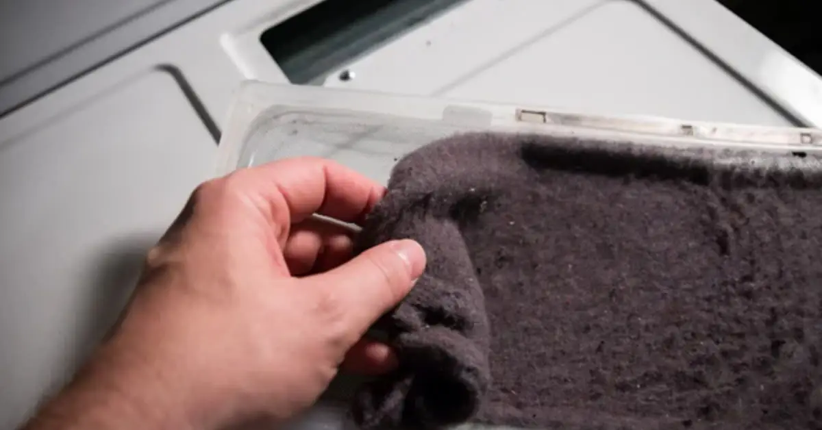 ways to reuse dryer lint