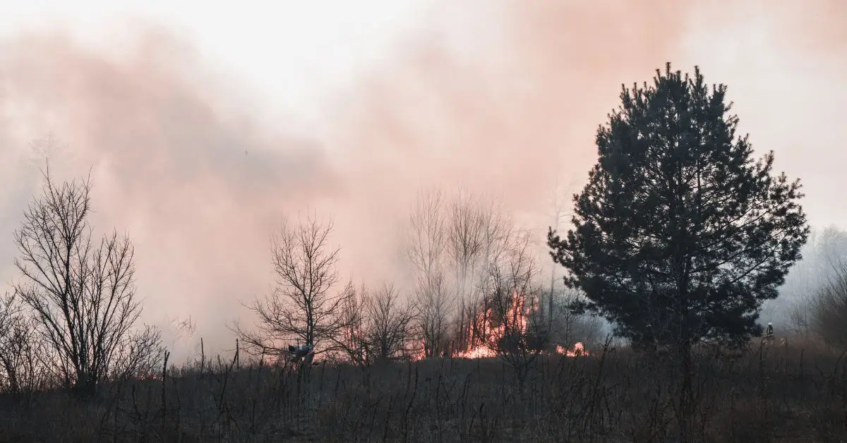 Grass Fire Destroys 4 Homes in Atascosa