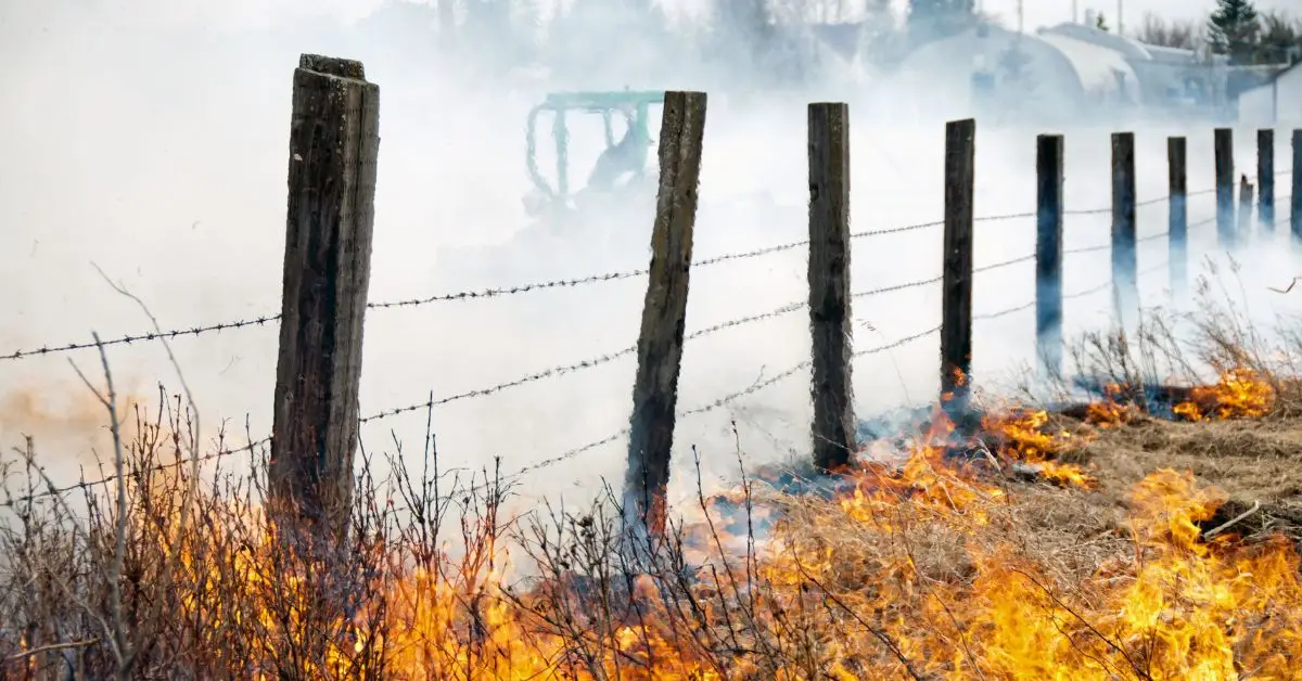 Grass Fire Destroys 4 Homes in Atascosa