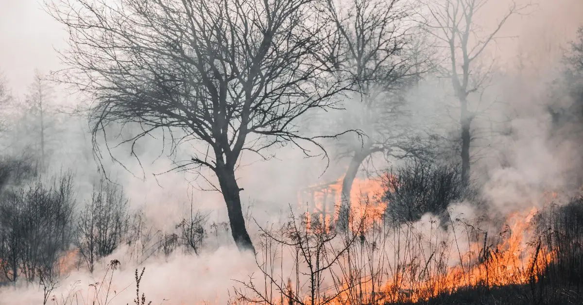 Lake of the Ozarks Home Fire