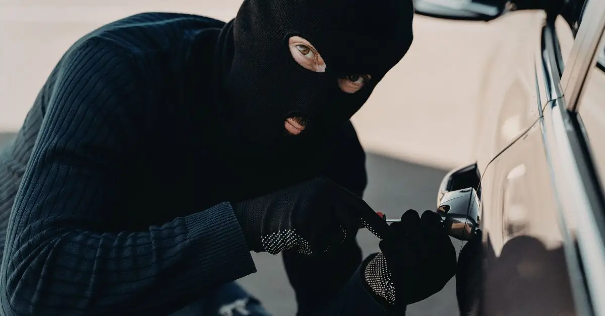 Lemmon Valley Home Burglary