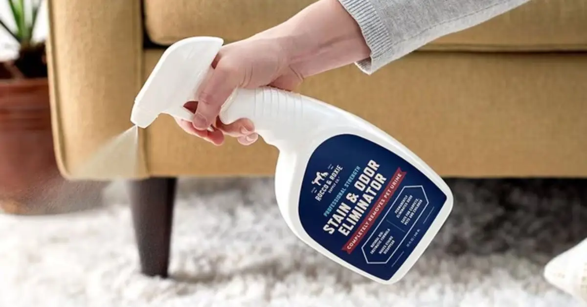 best upholstery cleaners