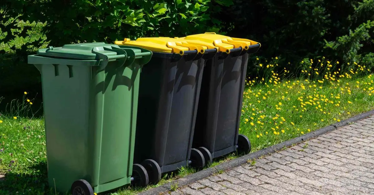 can you put overflow trash in a neighbors bin