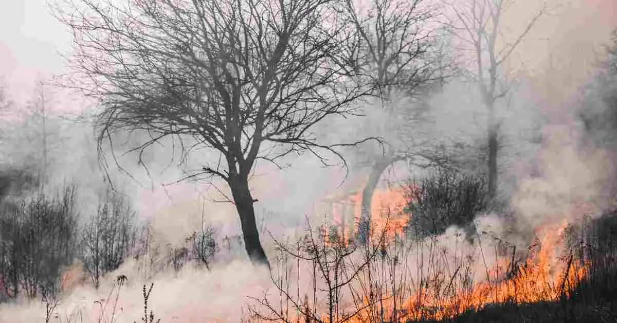 catoosa co home under construction destroyed in fire