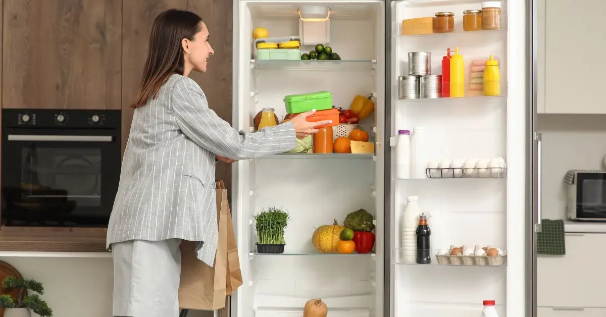 fridge odor removal hack