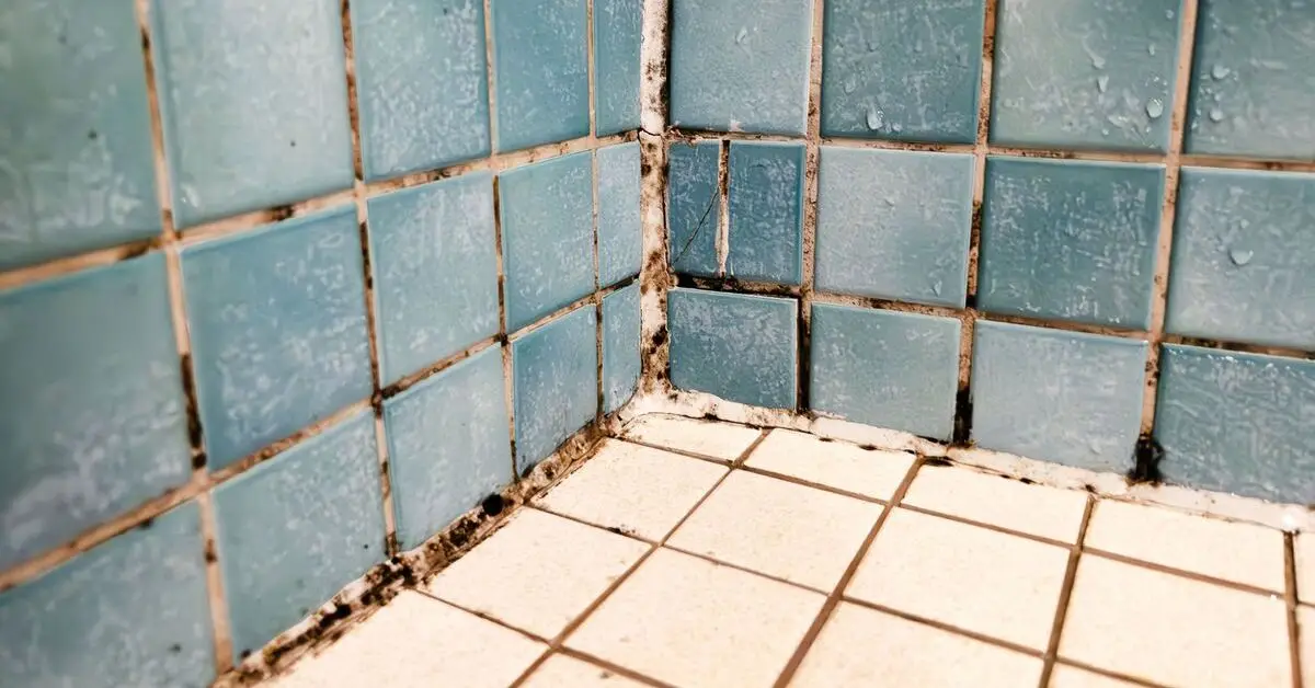 how to clean and restore tile grout