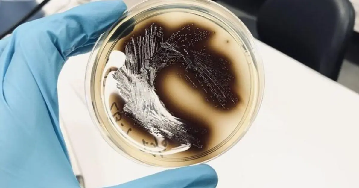 never wash dishes with cold water