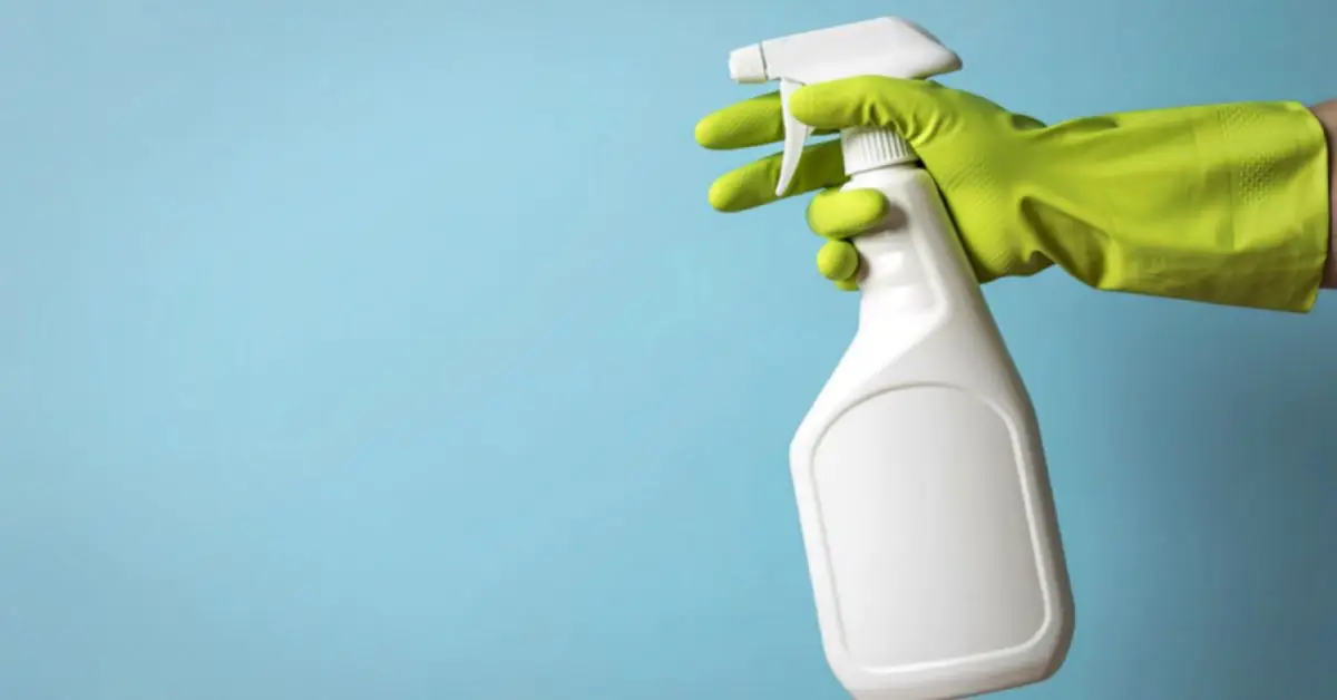prevent ants kitchen bathroom