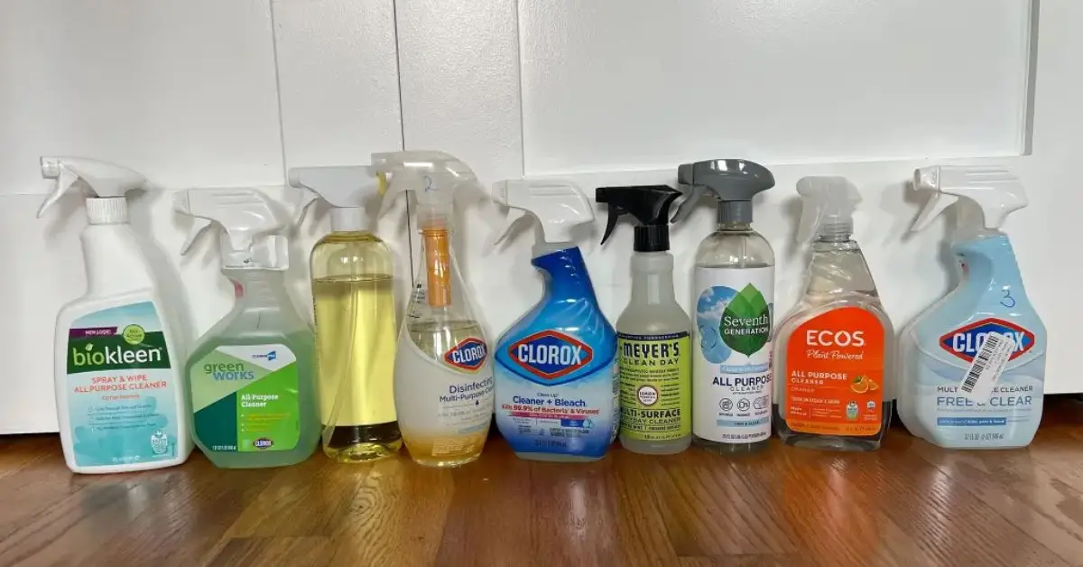 sanitize vs disinfect your home