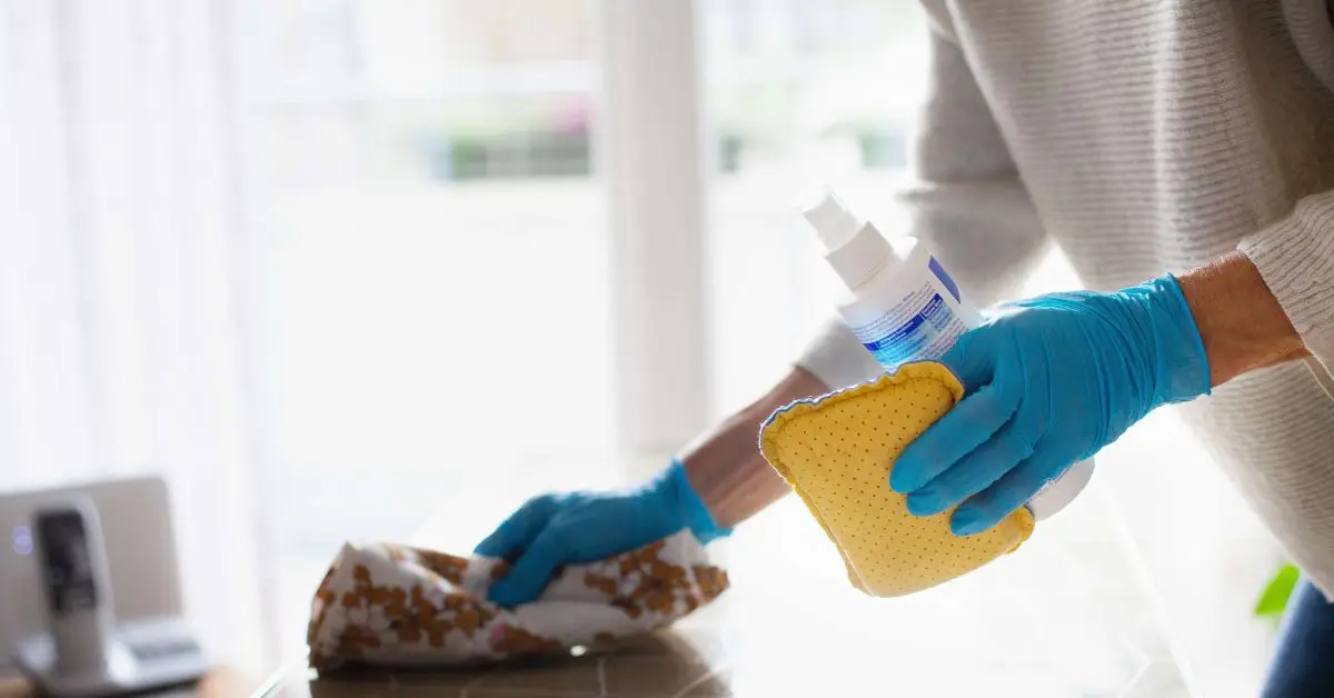 sanitize vs disinfect your home