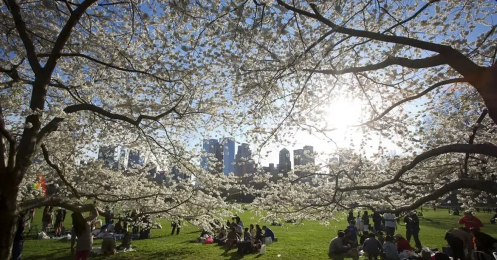 thumbtack city allergies report 2026