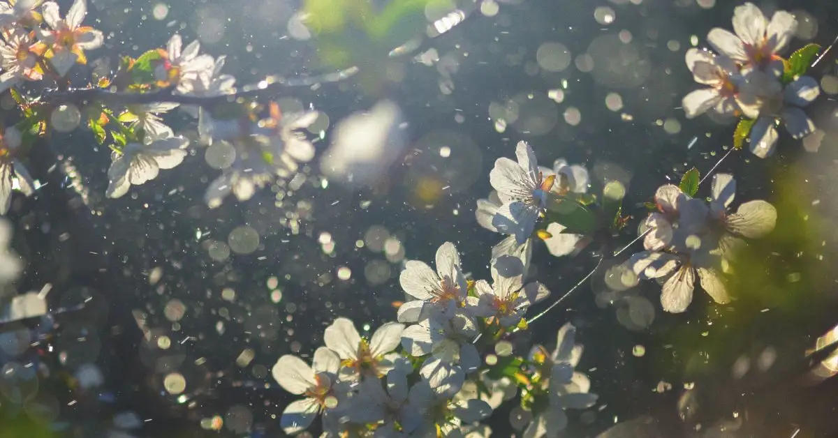 thumbtack city allergies report 2026