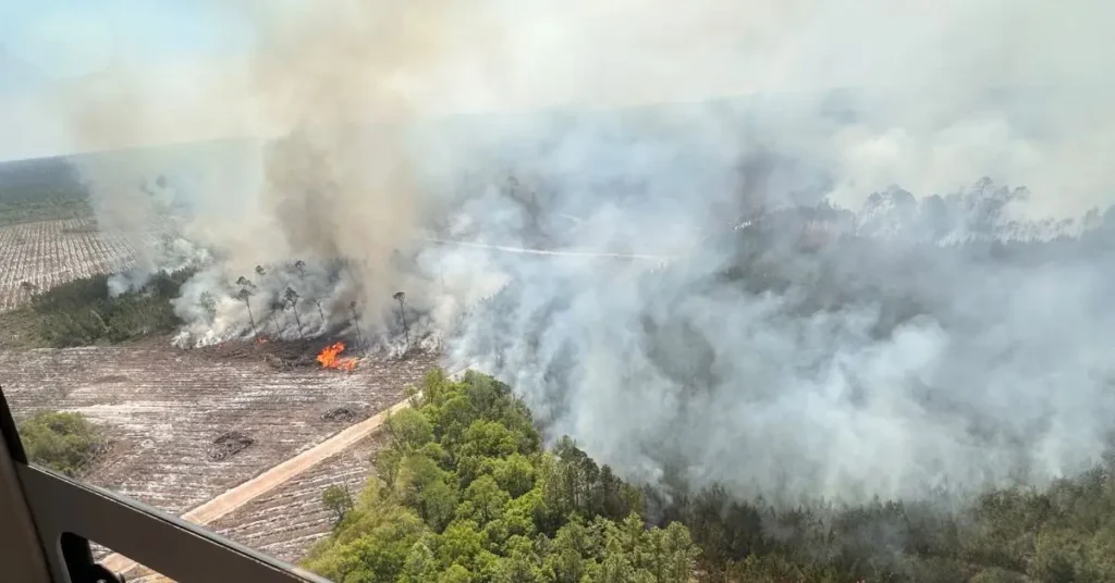 Brantley County Wildfire