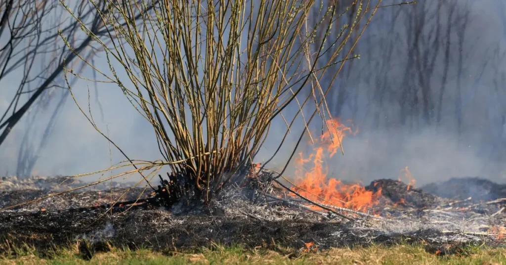 Fire in Tampa Mobile Home