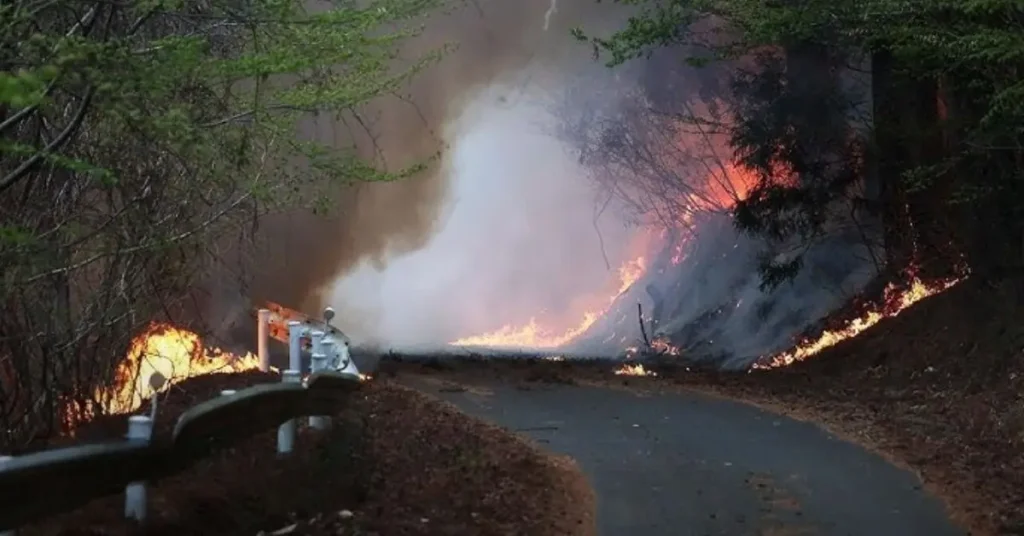 Florida And Georgia Wildfires