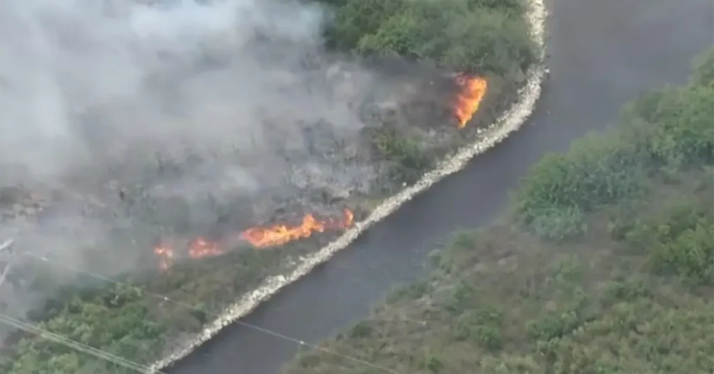 Florida And Georgia Wildfires