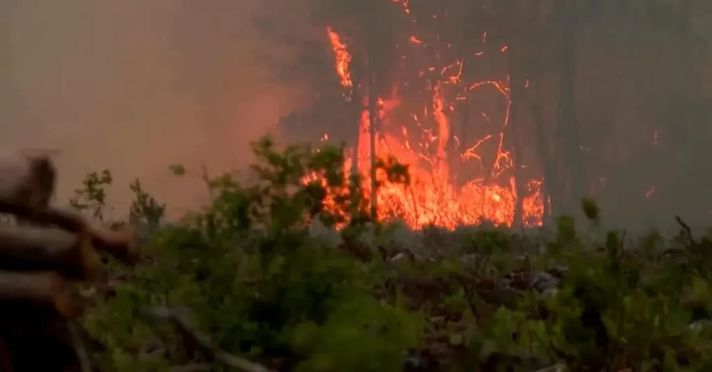 Florida And Georgia Wildfires