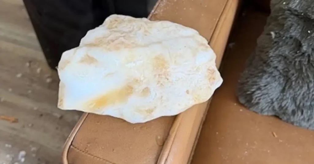 Ice Chunk Crashes Into California Home