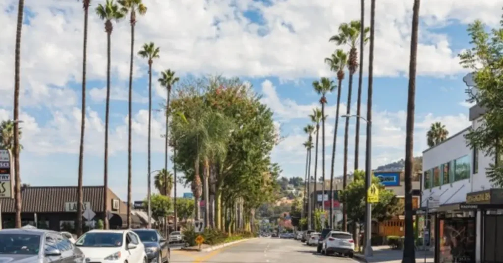 Los Angeles Burglary Wave