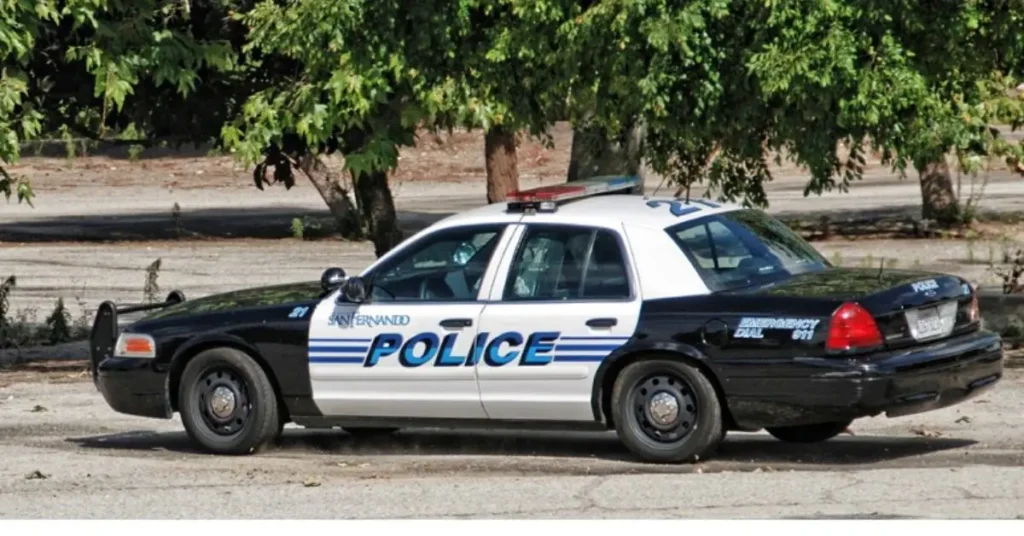 San Fernando Valley Burglary Wave