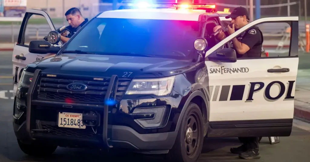 San Fernando Valley Burglary Wave