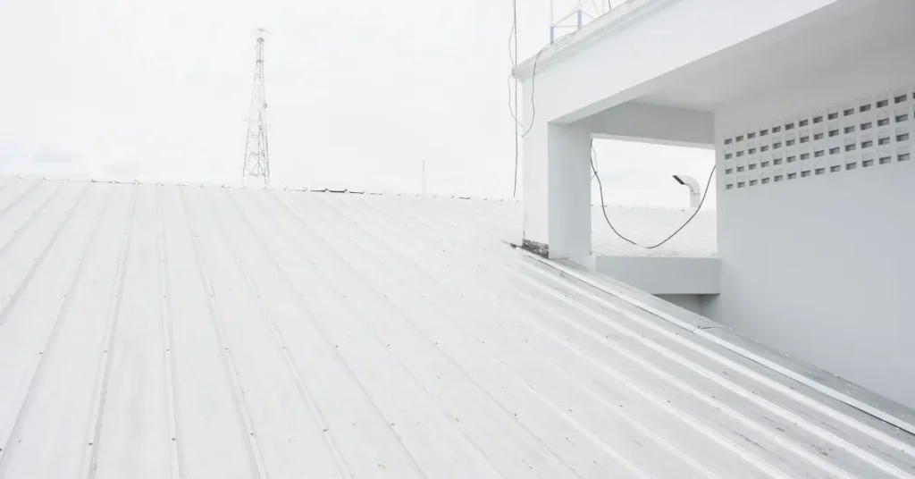 Florida Husband Painted His Roof White