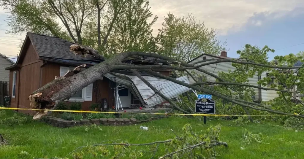 Metro Detroit Storm