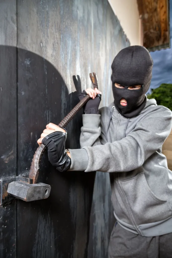 Philadelphia Home Burglary
