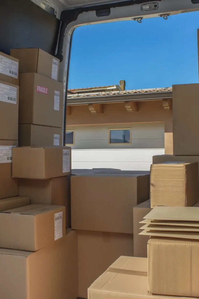 bugs in delivery packages