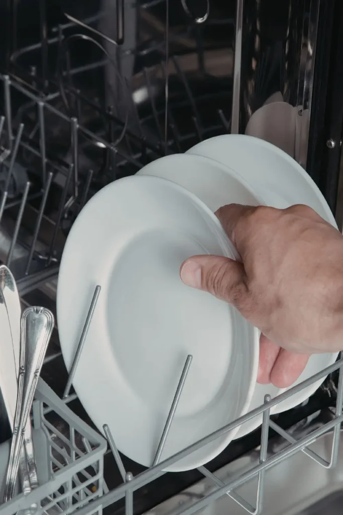 can mice get in through the dishwasher