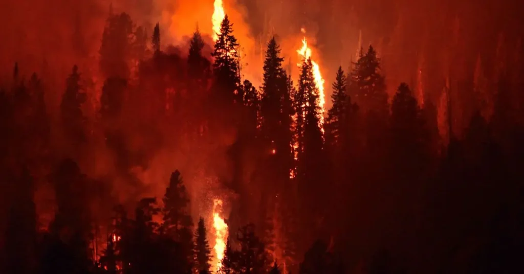 fire disaster shares prevention tips