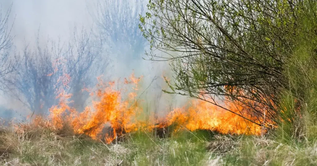 how to protect your home from wildfires