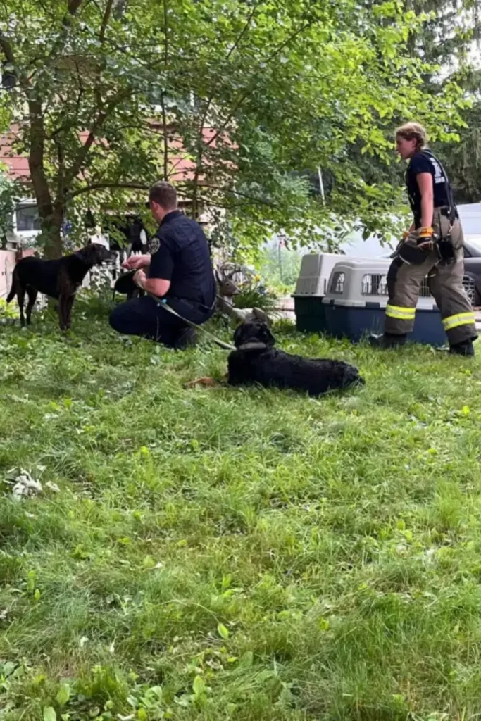 21 Pets Died in a Wisconsin House Fire