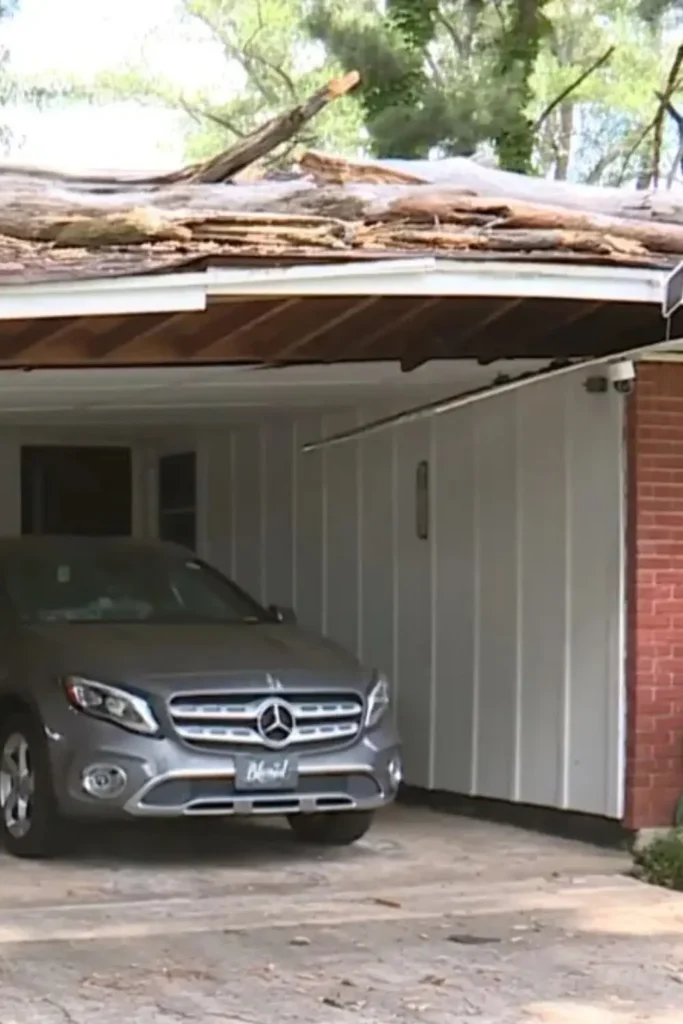 Tree Crashes Into Whitehaven Home
