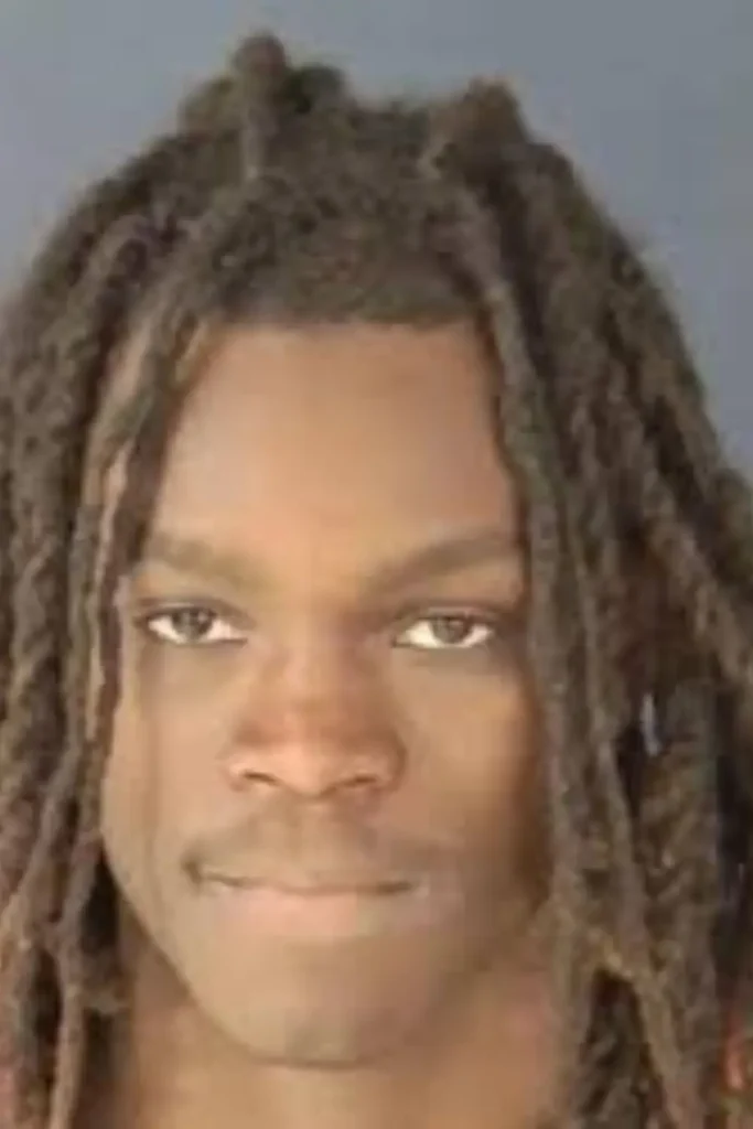 Sarasota vehicle burglary suspect arrested