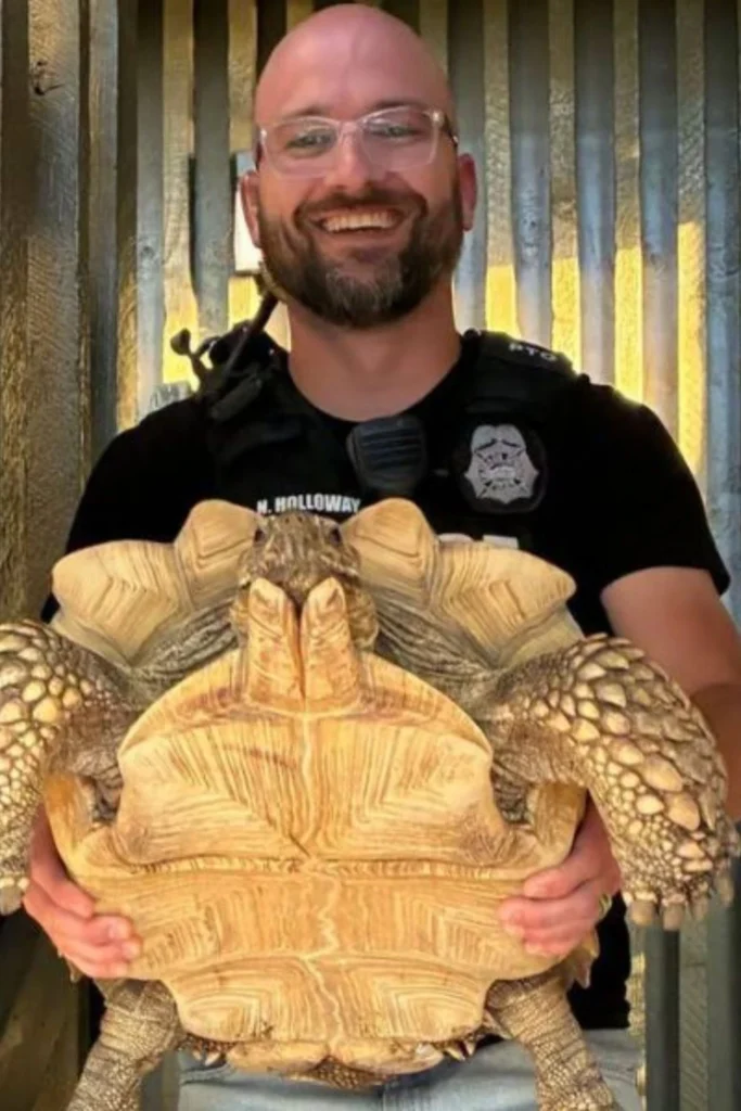 Tortoise Stolen From Home at Colorado Springs