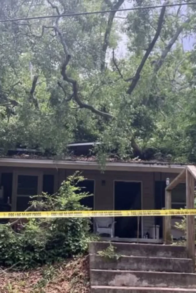 Tree Crushes Georgia Home