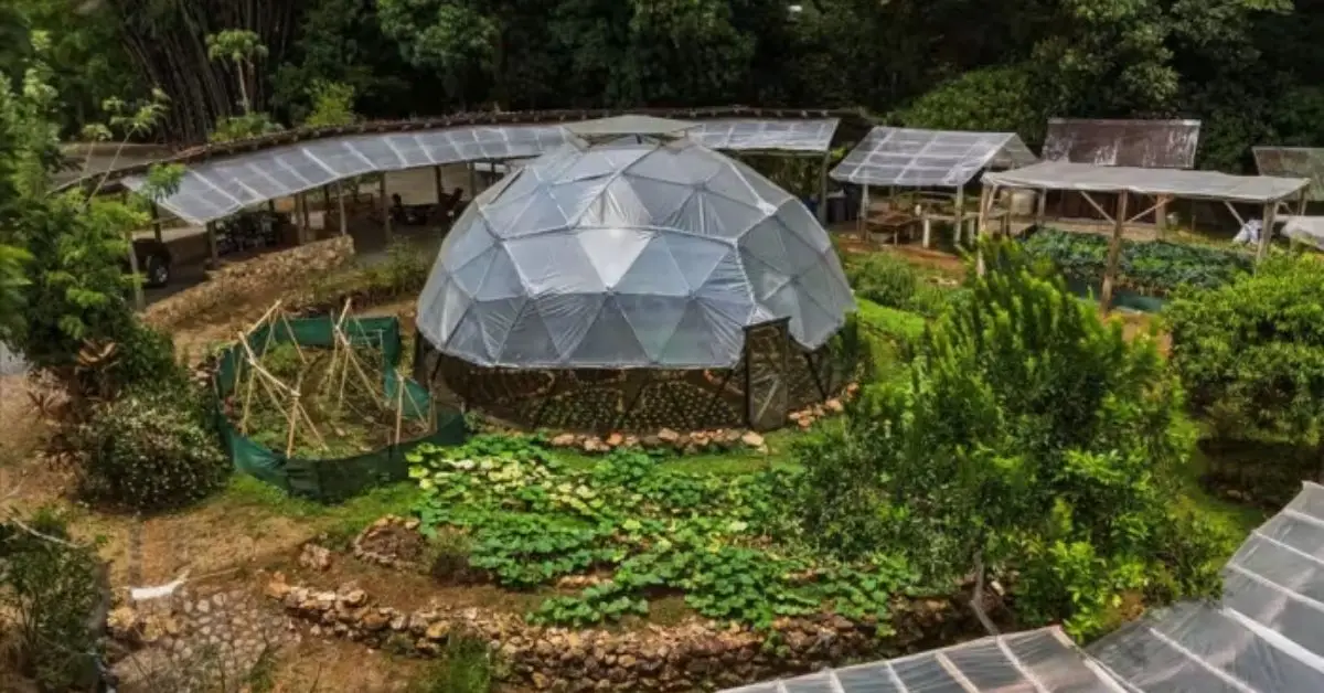 Zac Efron's Costa Rica Netflix Home Is Now on Sale