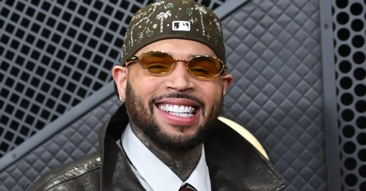 chris brown former housekeeper testifies in dog attack case